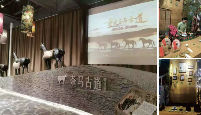 首届南博會官方指定